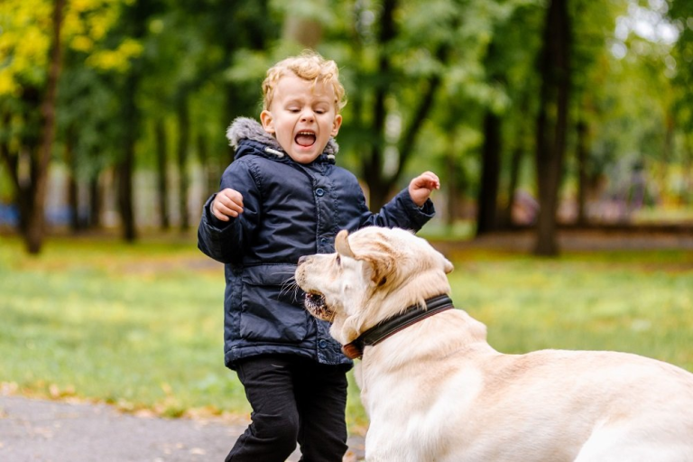 5 Dreams of Dog Attacking Child with Spiritual Meanings