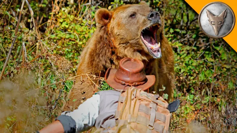 Dream of Brown Bear Attacking Someone Else And Spiritual Meanings