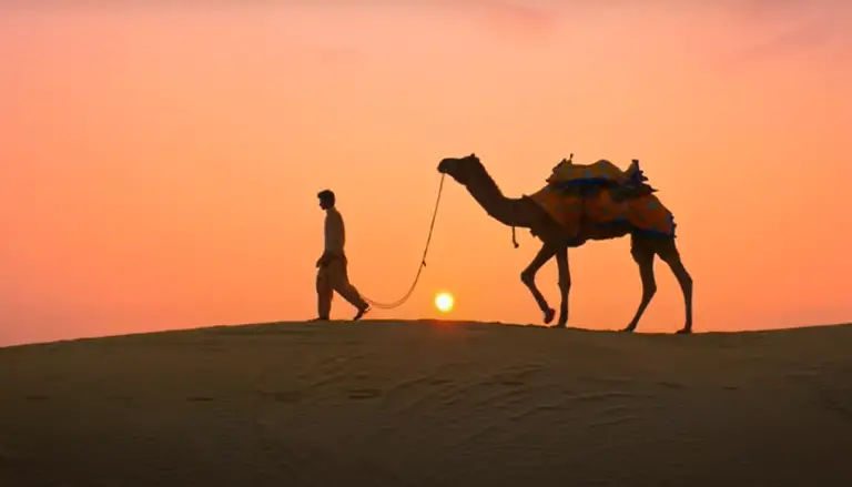 Dream Meanings Of A Camel In Desert (spiritual meaning)